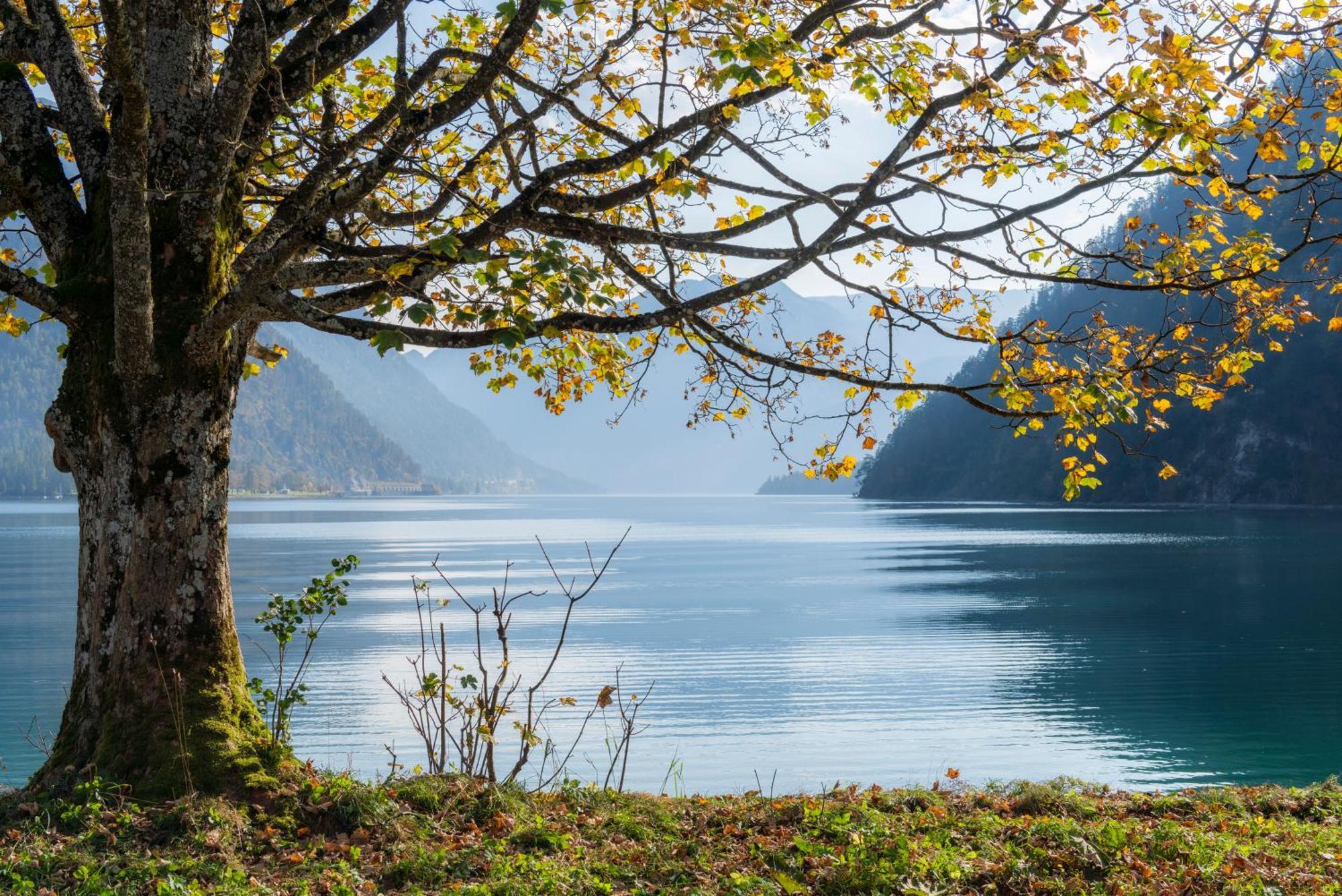 Posthotel Achenkirch Resort And Spa - Adults Only Экстерьер фото